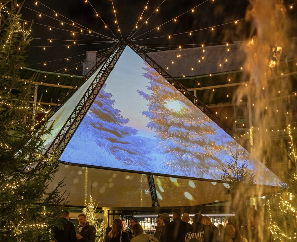 Bambusnest - Projection 2