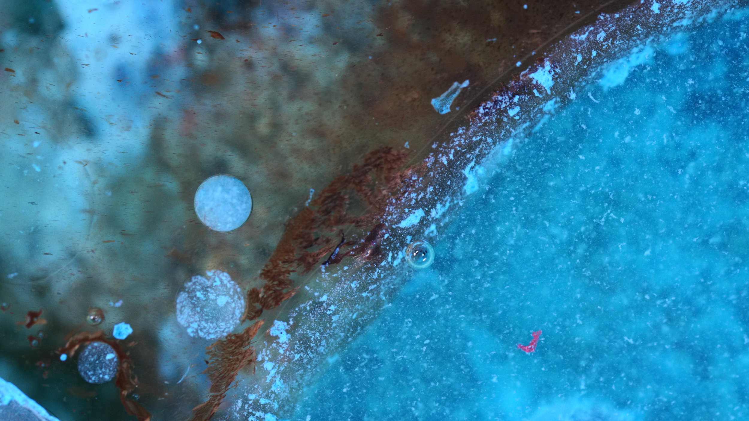 Fluid Vision - Red Abstract